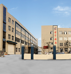 Company profile